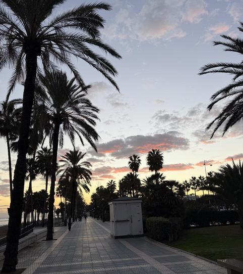 Foto 2 de Estudio para compartir en Conjunto Benabolá, 1, Puerto Banús, Marbella