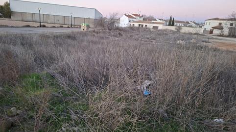 Terreny en venda a Carretera Villacañas, 7, Tembleque, Toledo - imatge 3 Foto 3 de Terreny en venda a Carretera Villacañas, 7, Tembleque, Toledo