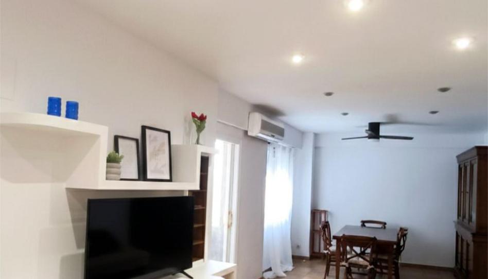 Piso de alquiler en Carrer Santa Anna, 5, Plaza Crevillente - Antiguos Juzgados - El Asilo, Elche / Elx - imagen 1 Foto 1 de Piso de alquiler en Carrer Santa Anna, 5, Plaza Crevillente - Antiguos Juzgados - El Asilo, Elche / Elx