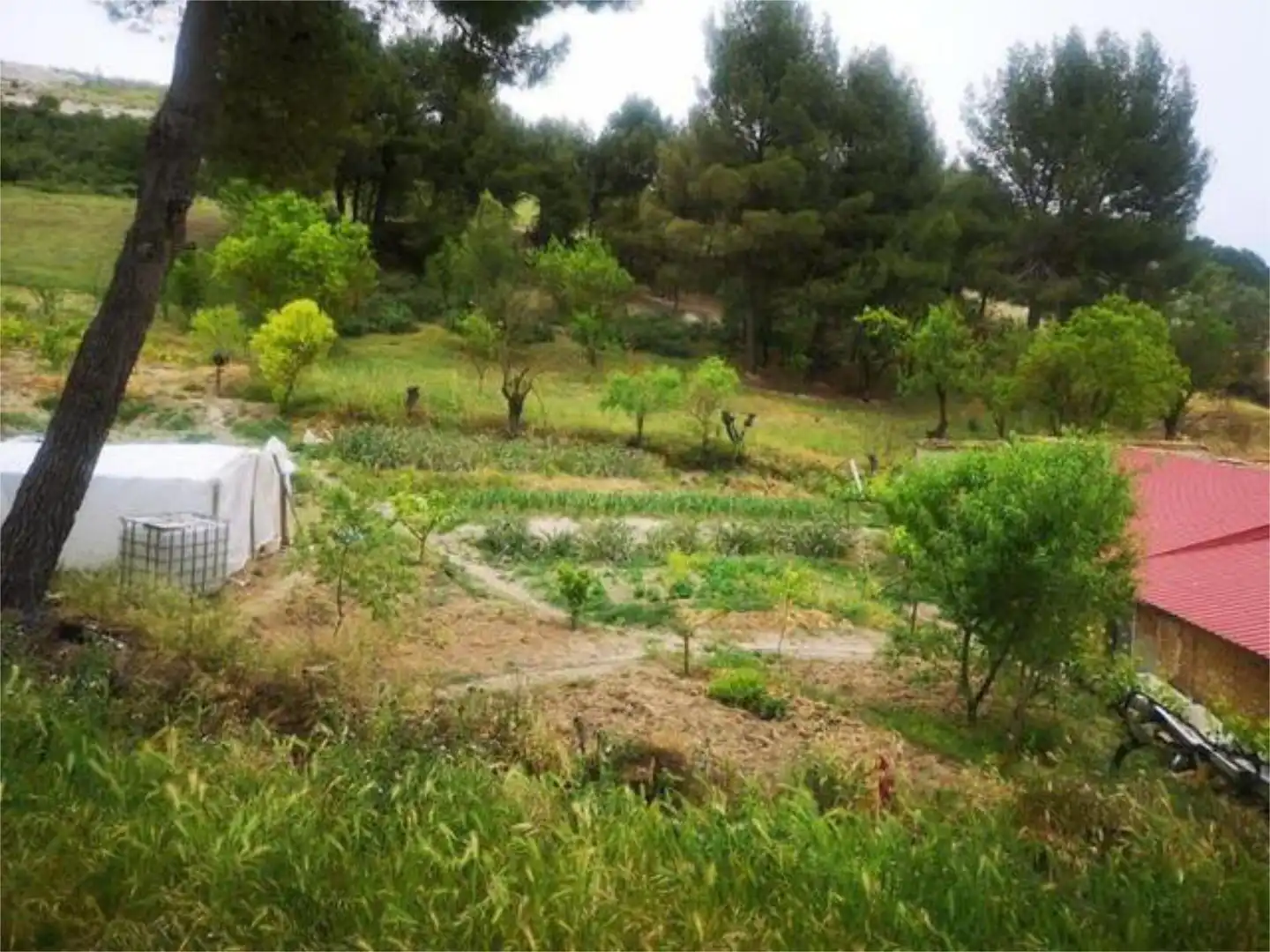 Jardí de Casa o xalet en venda en Fombellida amb Jardí privat