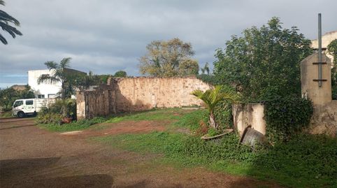 Foto 3 de Casa o chalet en venta en Calle la Caridad, 113, Tacoronte - Los Naranjeros, Tacoronte