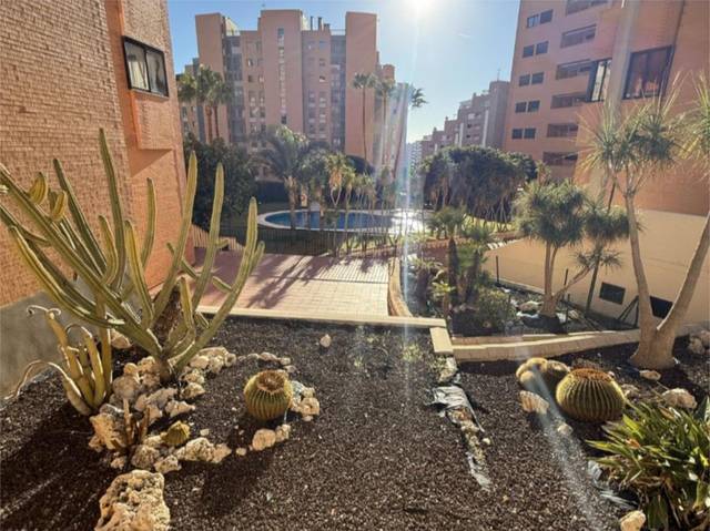 Piso en Alquiler en Avinguda Mestral, 8 en Alitana - Casablanca