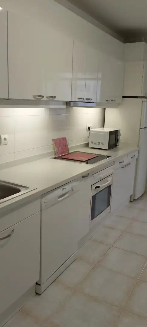 Wohnung zur Miete in Calle Fray Luis de León, 16, San Claudio - La Chantría Küche von Wohnung zur Miete in León Capital mit Heizung, Parkett und Terrasse