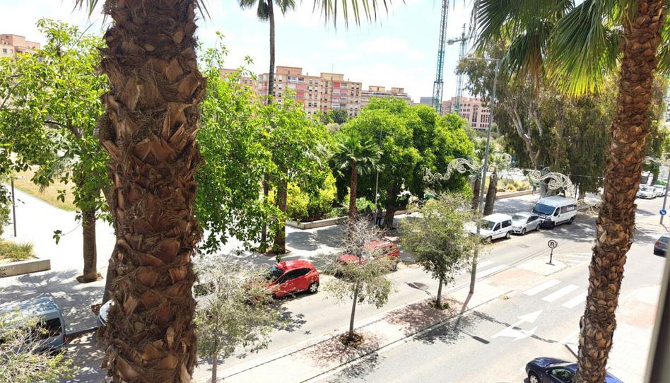 Piso de alquiler en Carrer de la Princesa Merce, 15, San Fernando - Princesa Mercedes, Alicante / Alacant - imagen 1 Foto 1 de Piso de alquiler en Carrer de la Princesa Merce, 15, San Fernando - Princesa Mercedes, Alicante / Alacant