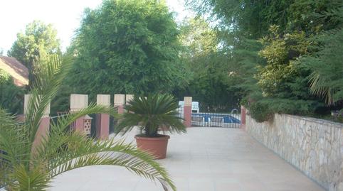 Casa o xalet de lloguer a Carrer Bell Puig, 7, Cas Català - Illetes, Calvià - imatge 4 Foto 4 de Casa o xalet de lloguer a Carrer Bell Puig, 7, Cas Català - Illetes, Calvià