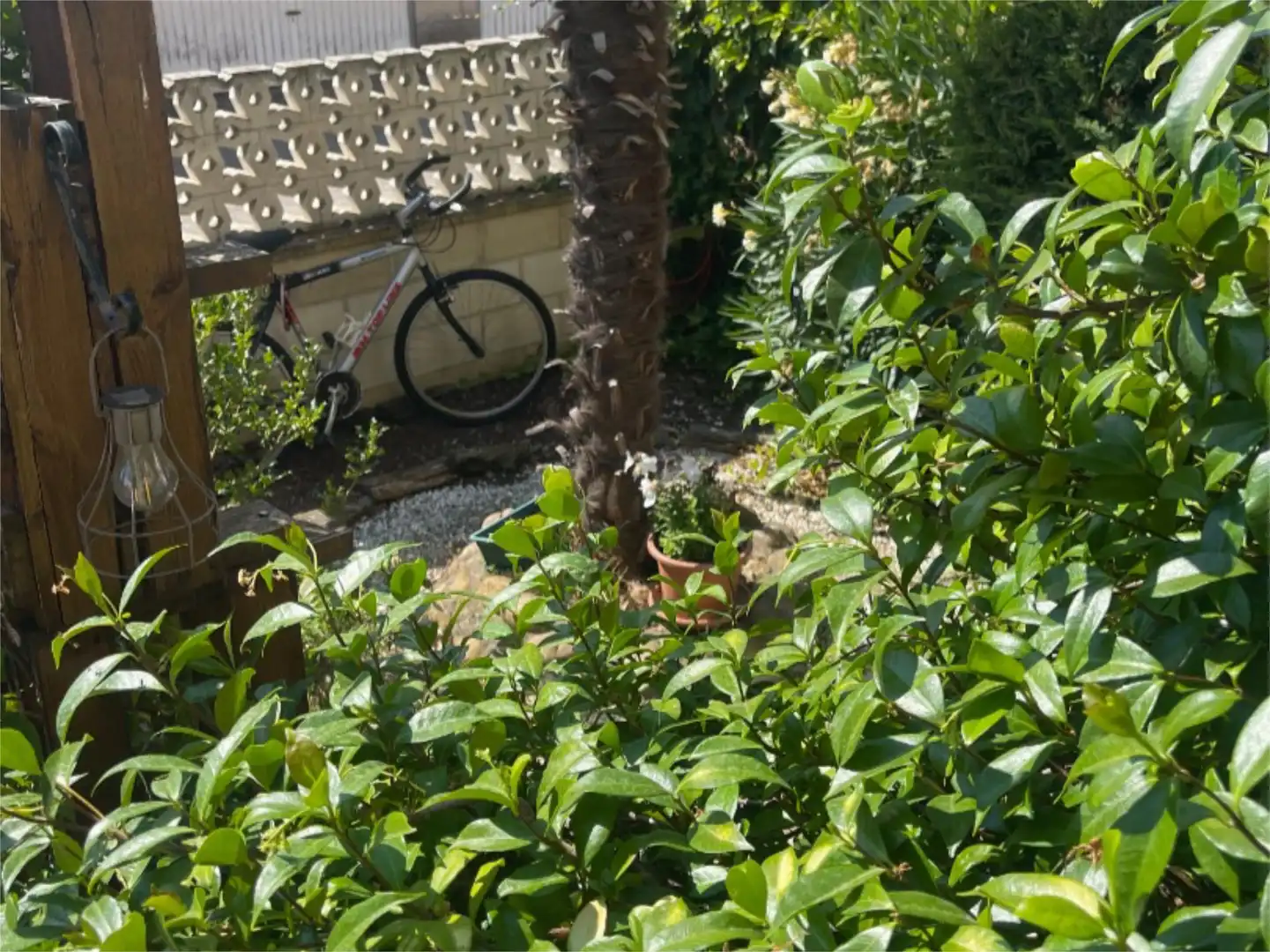 Houses for sale in Street Vera del Río, 12, Villasabariego Garden of Houses for sale in Villasabariego