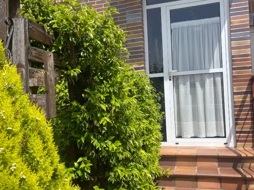 Houses for sale in Street Vera del Río, 12, Villasabariego Garden of Houses for sale in Villasabariego