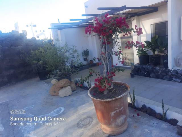 Piso en Alquiler en Carretera General 820 Guia, 51 en Chío