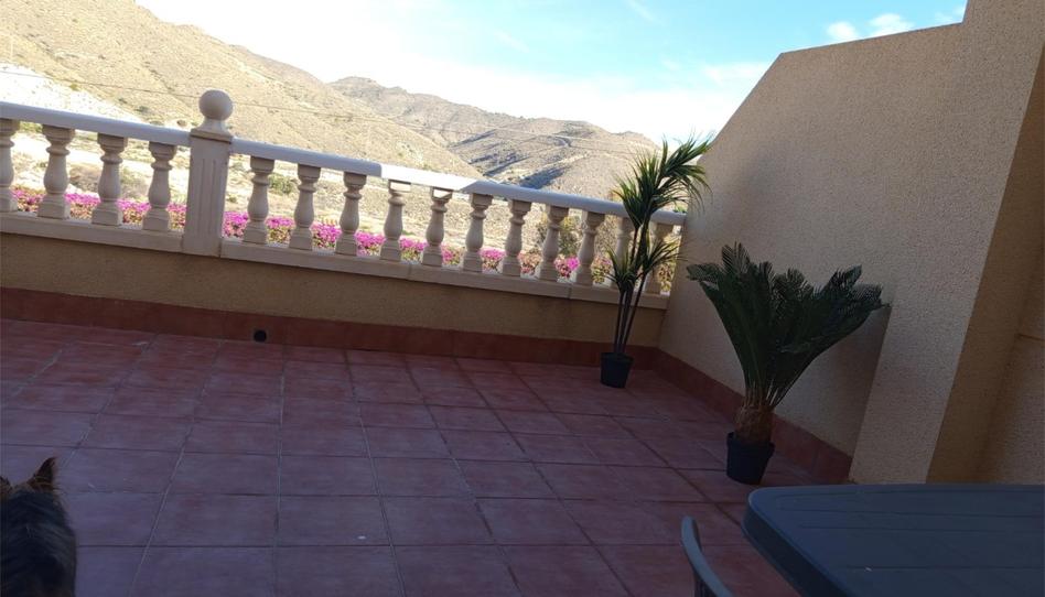 Estudi de lloguer a Carrer del Cabeçó D'or, 122, Pueblo Acantilado - Lanuza, El Campello - imatge 1 Foto 1 de Estudi de lloguer a Carrer del Cabeçó D'or, 122, Pueblo Acantilado - Lanuza, El Campello