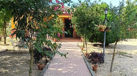 Foto 2 de Finca rústica en venta en Urbanización las Encinas, 2, San Roque - La Cruz - La Rozuela, Linares
