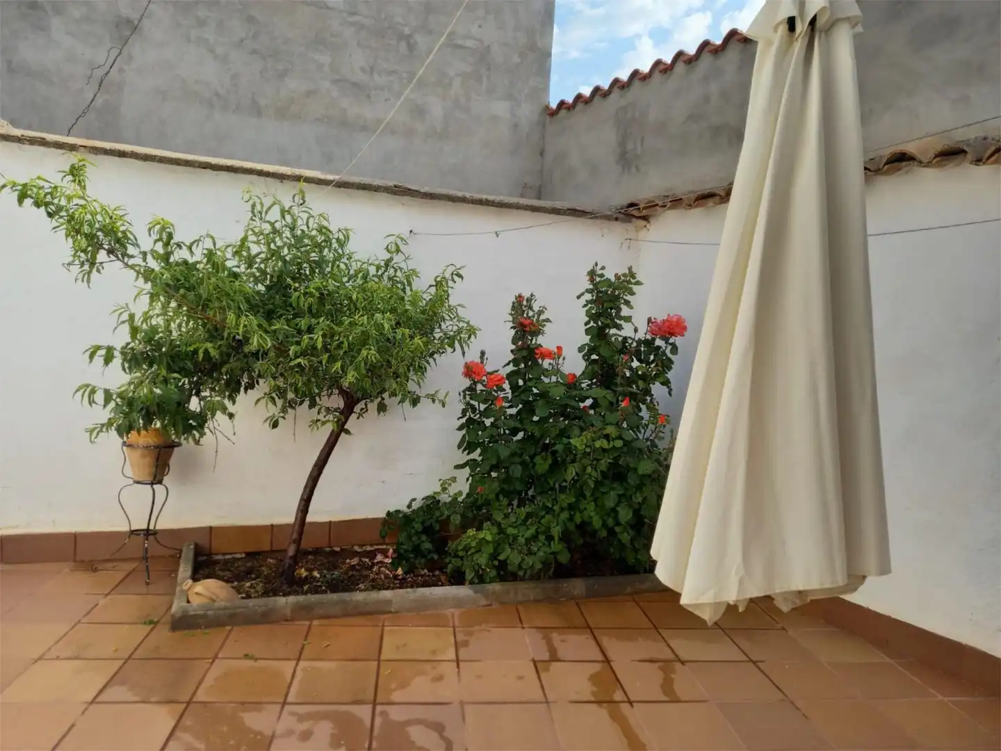 Terrassa de Casa adosada en venda en Torre de Juan Abad amb Moblat i Balcó