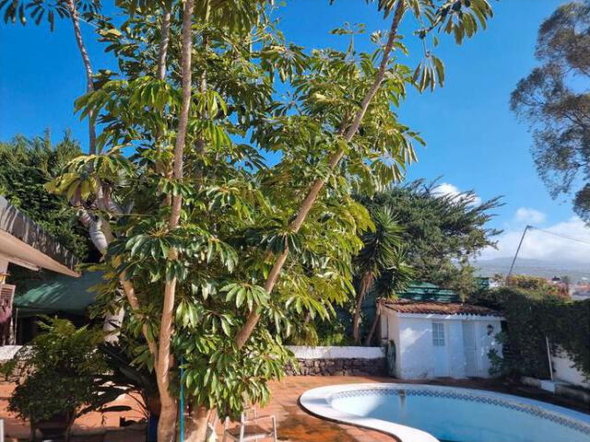 Jardín de Casa adosada en venta en Tacoronte con Jardín privado, Terraza y Trastero