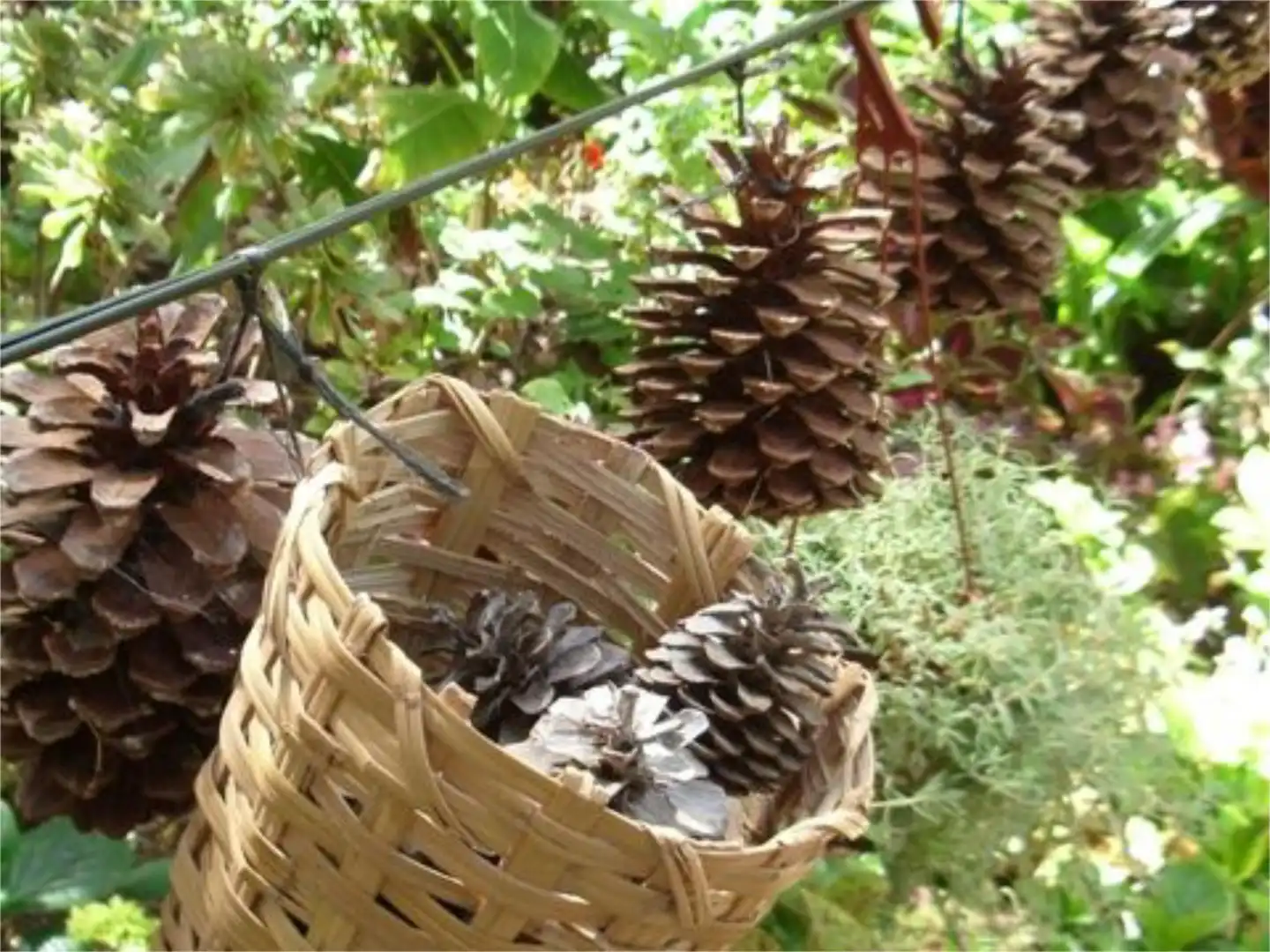 Finca rústica en venda a Calle Espíritu Santo, 15, Agüimes - Temisas Jardí de Finca rústica en venda en Agüimes amb Jardí privat, Terrassa i Traster