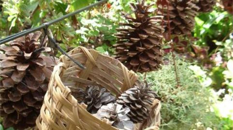 Photo 2 of Country house for sale in Calle del General Vives, S/n, Alcaravaneras, Las Palmas de Gran Canaria