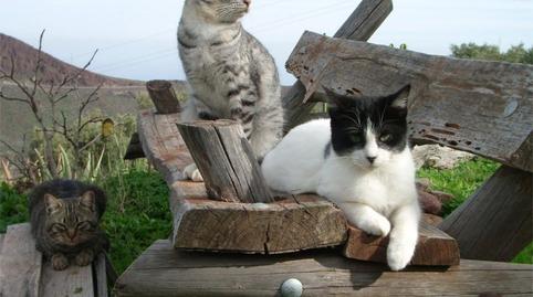 Photo 3 of Country house for sale in Calle del General Vives, S/n, Alcaravaneras, Las Palmas de Gran Canaria