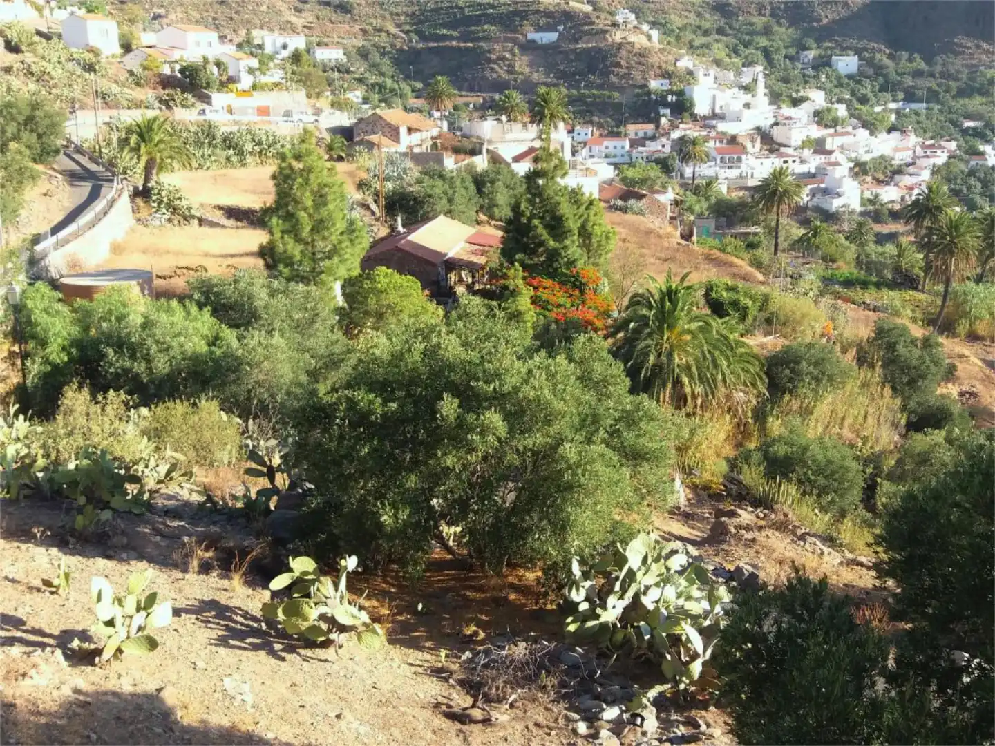 Finca rústica en venda a Calle Espíritu Santo, 15, Agüimes - Temisas Vista exterior de Finca rústica en venda en Agüimes amb Jardí privat, Terrassa i Traster