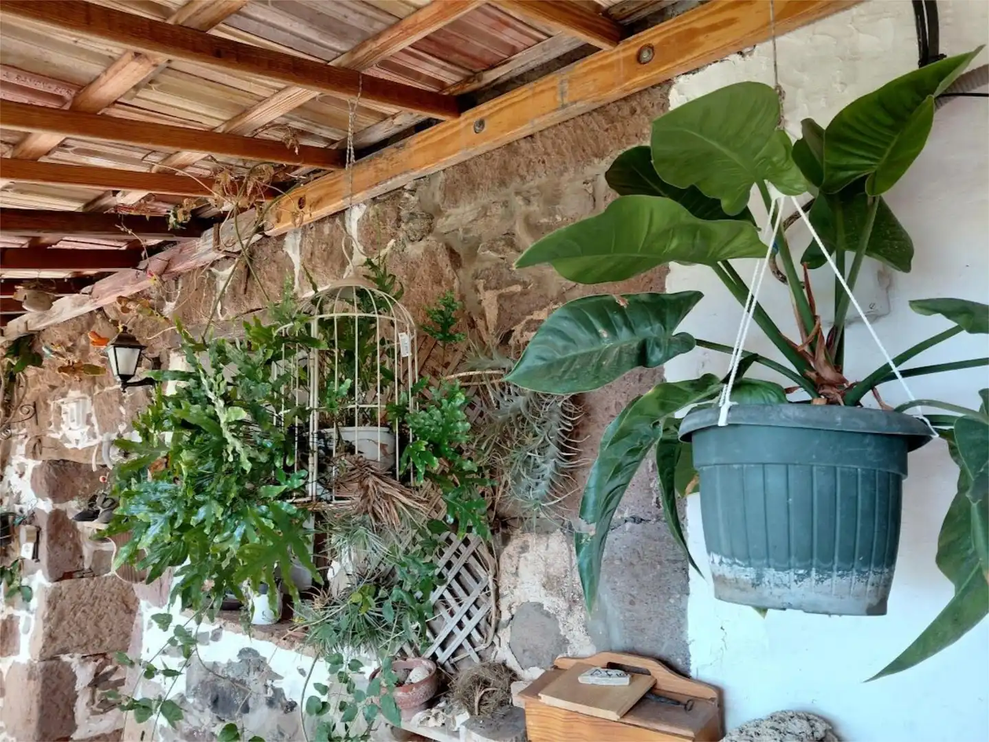 Finca rústica en venda a Calle Espíritu Santo, 15, Agüimes - Temisas Finca rústica en venda en Agüimes amb Jardí privat, Terrassa i Traster