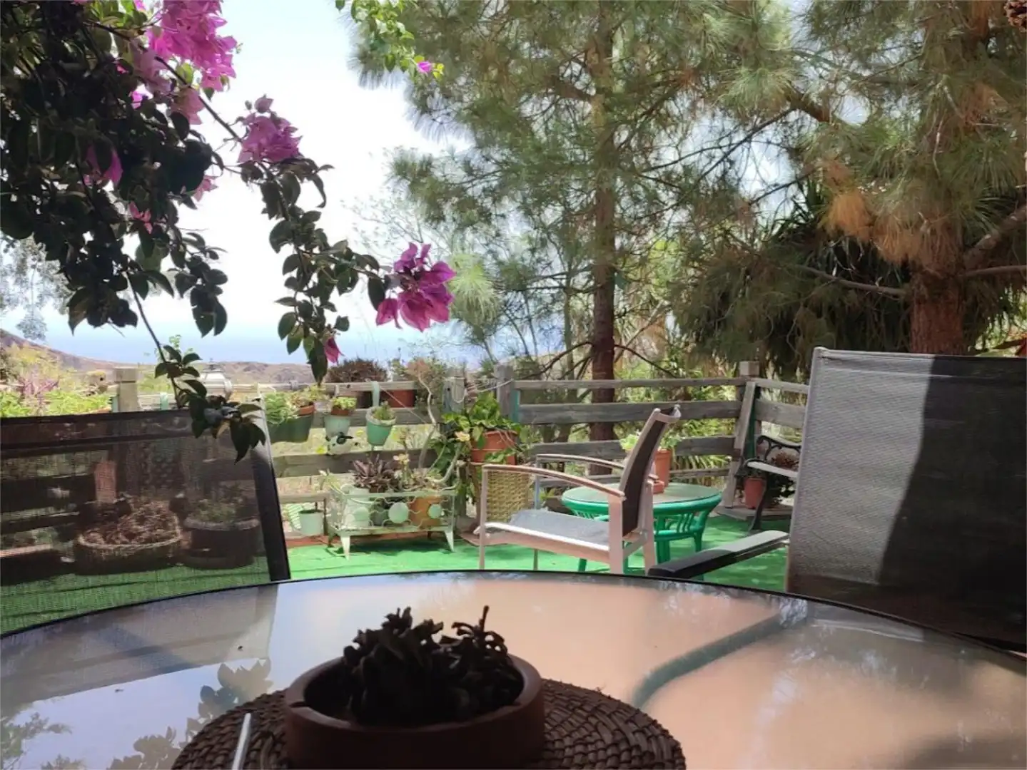 Finca rústica en venda a Calle Espíritu Santo, 15, Agüimes - Temisas Jardí de Finca rústica en venda en Agüimes amb Jardí privat, Terrassa i Traster