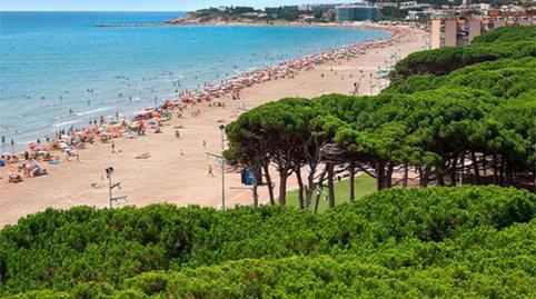 Flat for sale in Carrer de Victòria Dels Àngels, 16, La Pineda, Vila-seca - image 3 Photo 3 of Flat for sale in Carrer de Victòria Dels Àngels, 16, La Pineda, Vila-seca