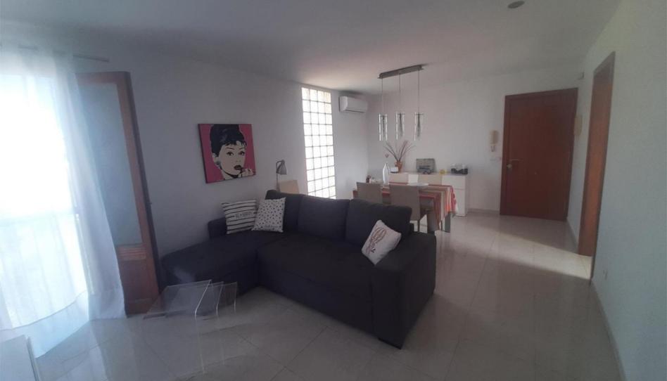 Flat to rent in Carrer Volantí, 10, Can Picafort, Santa Margalida - image 1 Photo 1 of Flat to rent in Carrer Volantí, 10, Can Picafort, Santa Margalida