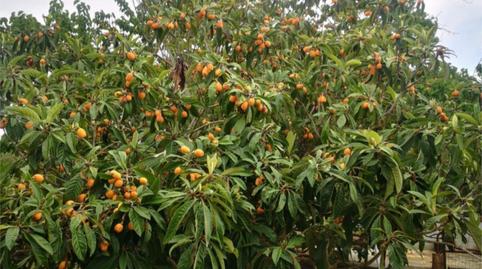 Country house zum Verkauf in Carretera Martorell, 82, Piera, Barcelona - Bild 5 Foto 5 von Country house zum Verkauf in Carretera Martorell, 82, Piera, Barcelona