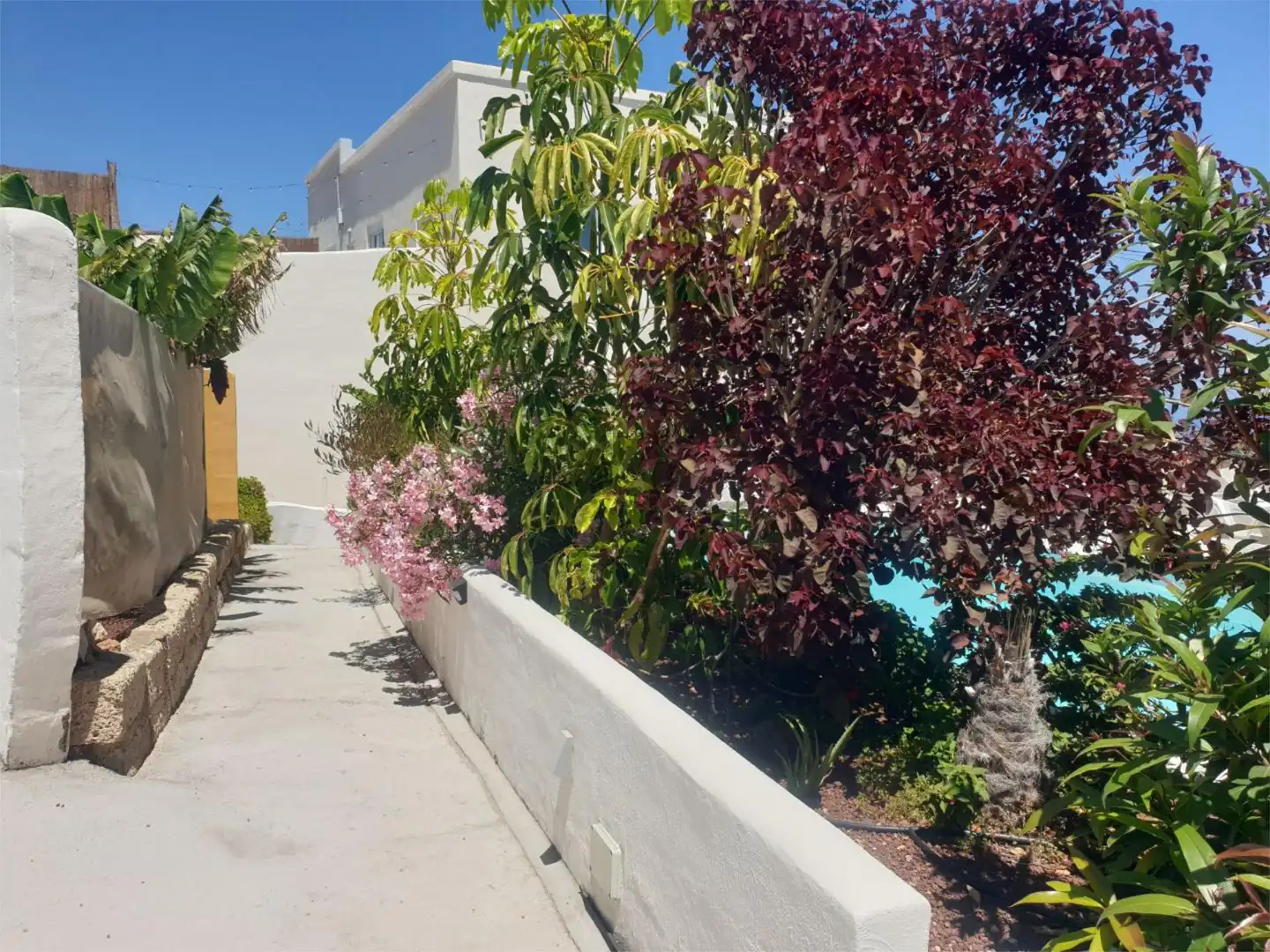 Garden of Flat for sale in Arico  with Private garden, Parquet flooring and Terrace
