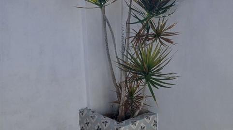 Foto 3 de Estudi de lloguer a Partida Benicolada, 7m, Benicolada - Las Adelfas, Calpe / Calp