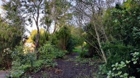 Country house for sale in Pista la Cancela, 97, El Tanque, Santa Cruz de Tenerife - image 2 Photo 2 of Country house for sale in Pista la Cancela, 97, El Tanque, Santa Cruz de Tenerife