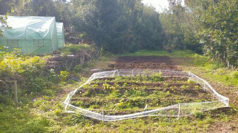 Country house for sale in Pista la Cancela, 97, El Tanque, Santa Cruz de Tenerife - image 3 Photo 3 of Country house for sale in Pista la Cancela, 97, El Tanque, Santa Cruz de Tenerife