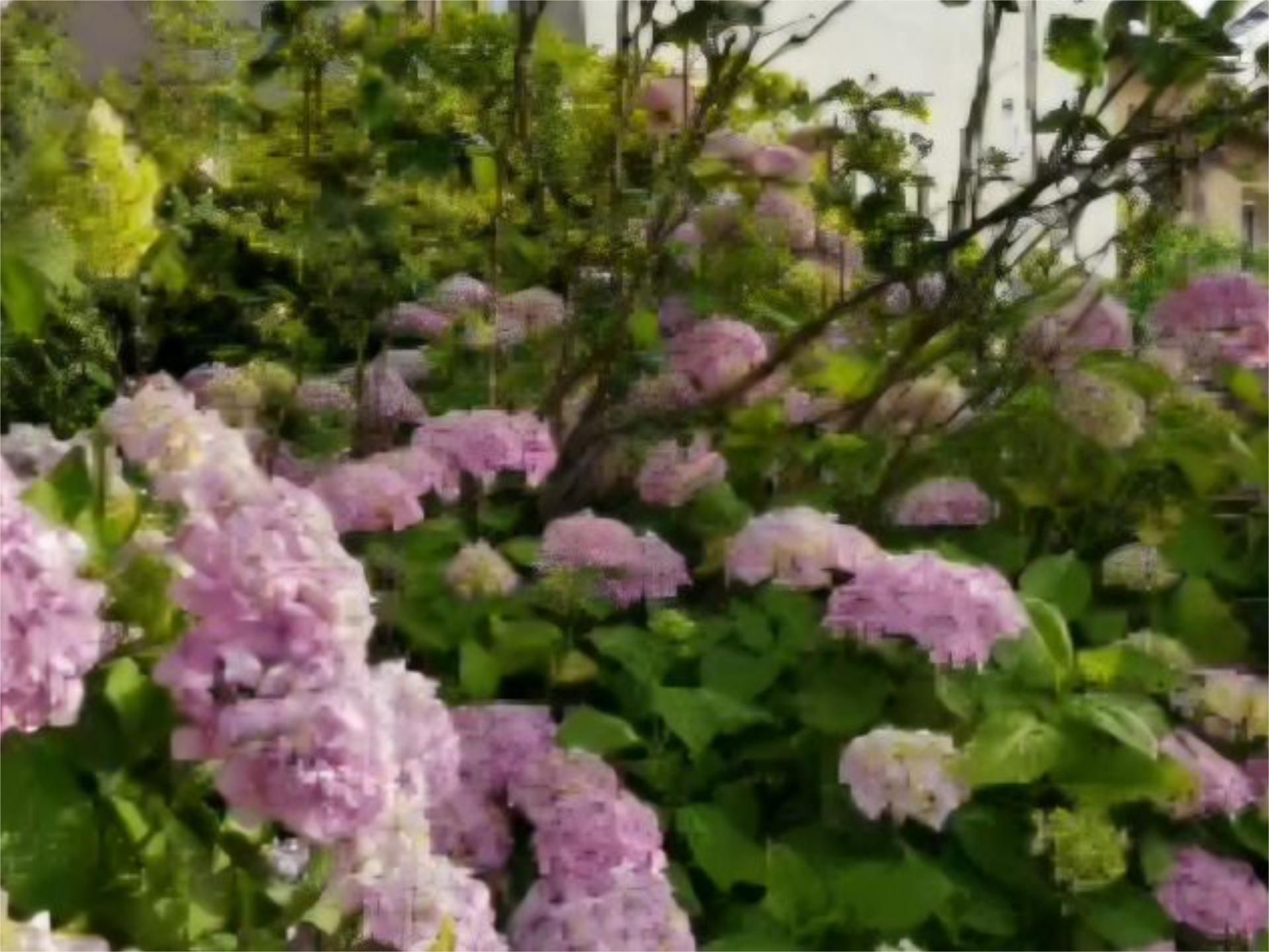 Planta baja for sale in Sant Hilari Sacalm