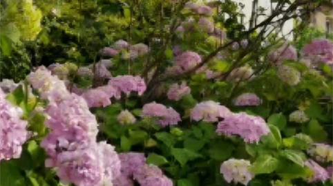 Foto 2 de Casa o xalet en venda a Carrer Santa Margarida, 9, Sant Hilari Sacalm, Girona