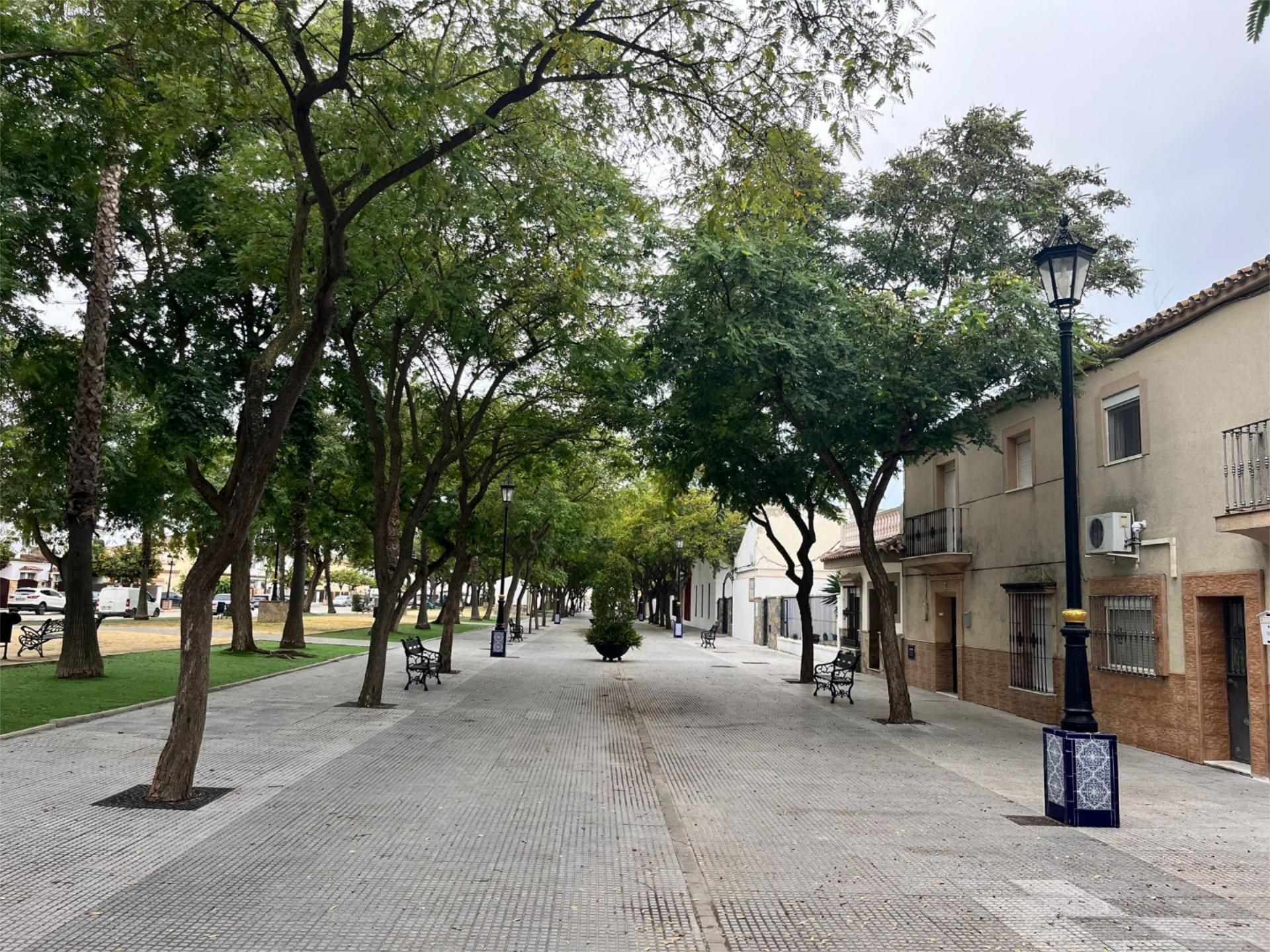 Exterior view of Single-family semi-detached to rent in Jerez de la Frontera  with Air Conditioner, Heating and Parquet flooring