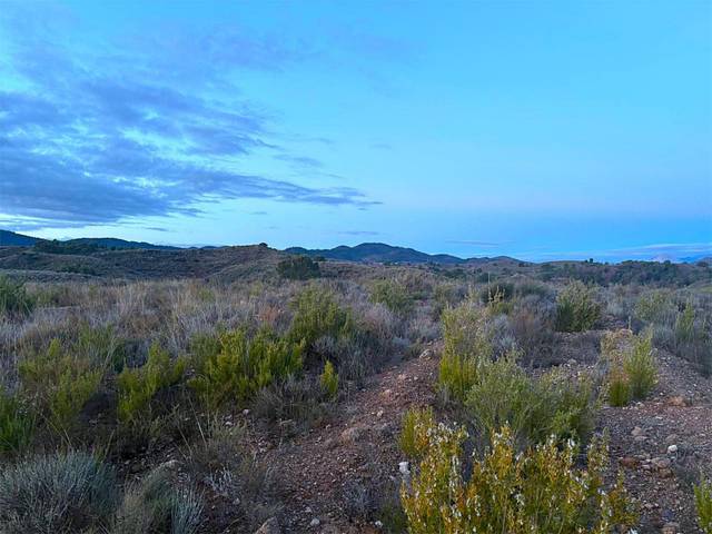 Finca rústica en Venta en Calle Cayetano Lorca, 2 en San Cristobal - San Diego