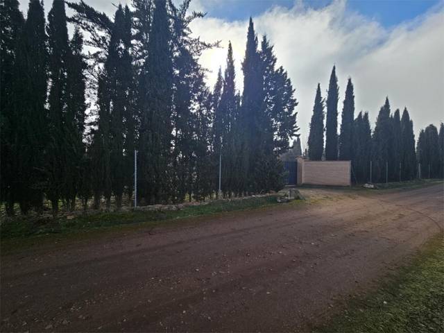 Terreno en Venta en Calle de la Piscina, 1 en Pozuelo de Calatrava