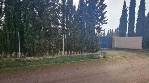 Foto 2 de Terreny en venda a Calle de la Piscina, 1, Pozuelo de Calatrava, Ciudad Real