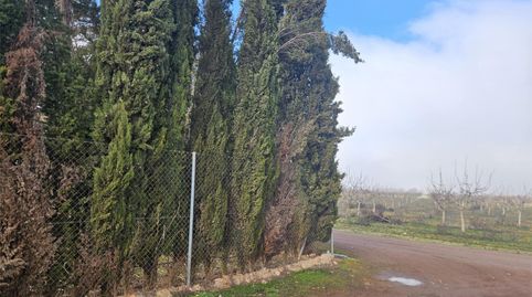 Foto 4 de Terreny en venda a Calle de la Piscina, 1, Pozuelo de Calatrava, Ciudad Real