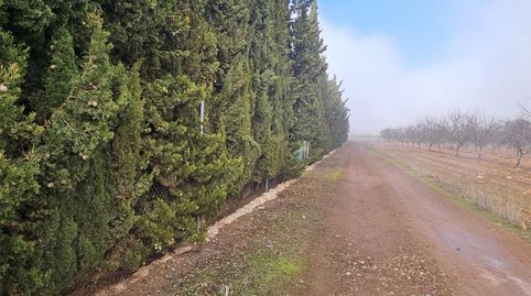 Foto 5 de Terreny en venda a Calle de la Piscina, 1, Pozuelo de Calatrava, Ciudad Real