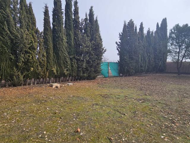 Terreno en Venta en Calle de la Piscina, 1 en Pozuelo de Calatrava