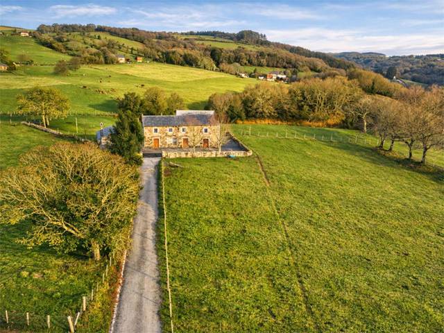 Finca rústica en Venta en Camiño do Porto, 1 en Abadín