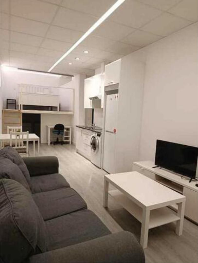 Loft to rent in Universidad