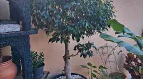 Photo 2 of Single-family semi-detached for sale in Buenavista del Norte, Santa Cruz de Tenerife