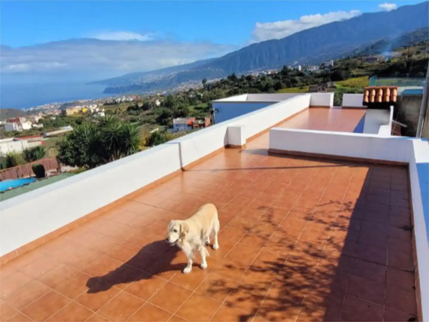 Piso en venta en Calle Treviña, 5, Palo Blanco Vista exterior de Piso en venta en Los Realejos con Calefacción, Jardín privado y Parquet