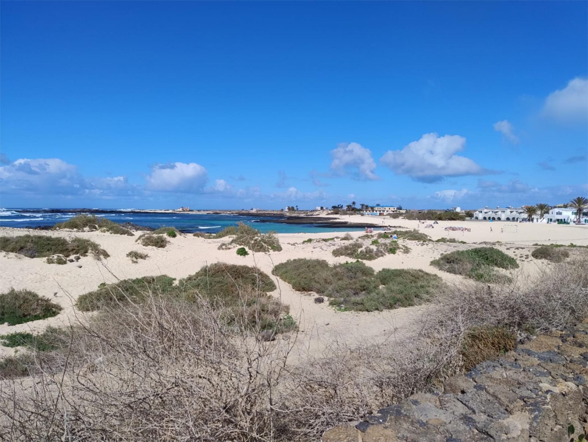 Exterior view of Apartment for sale in La Oliva  with Terrace