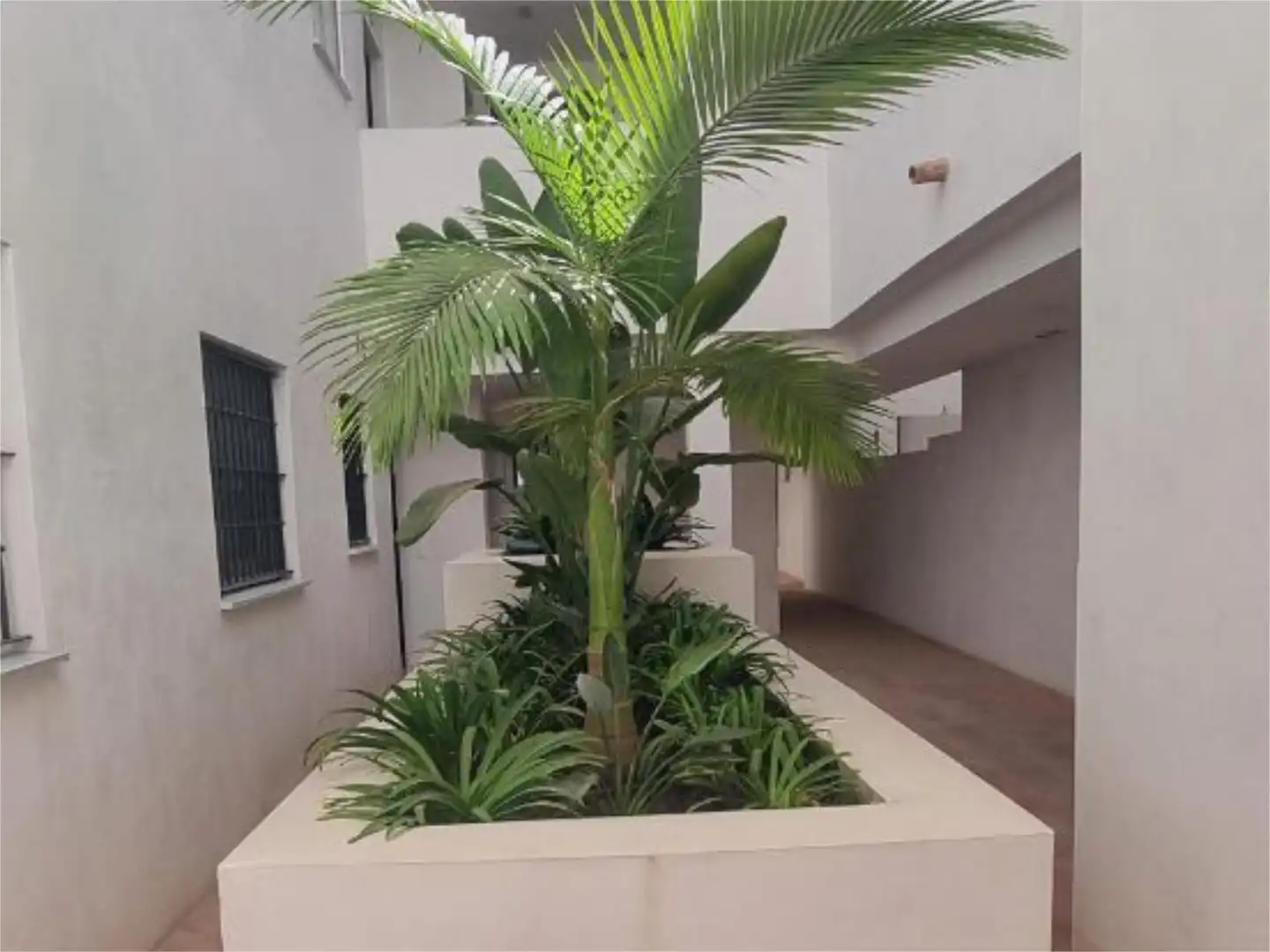 Apartamento de alquiler en Calle Turina, 2, Las Tres Piedras - Costa Ballena Apartamento de alquiler en Calle Turina, 2, Las Tres Piedras - Costa Ballena