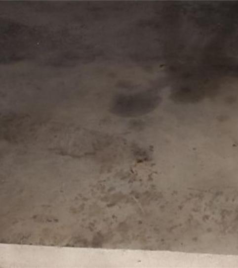 Planta baixa de lloguer a Calle Santa María de Trassierra, 58, Huerta de la Reina - Trassierra, Córdoba Capital - imatge 2 Foto 2 de Planta baixa de lloguer a Calle Santa María de Trassierra, 58, Huerta de la Reina - Trassierra, Córdoba Capital