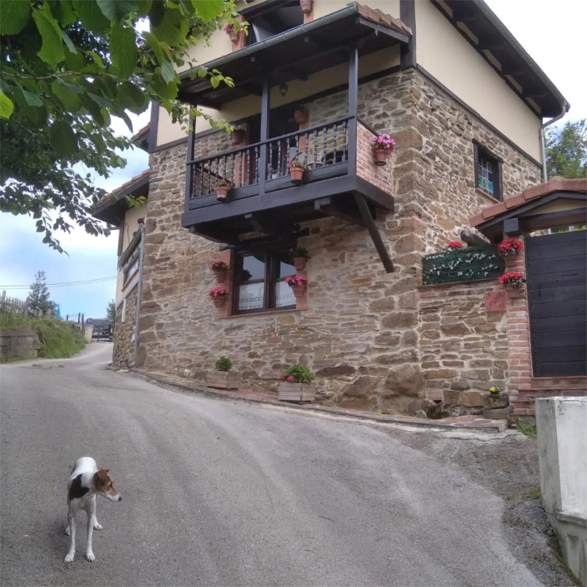 Casa o chalet en venta en Mi-6, 22, Mieres (Asturias) Vista exterior de Casa o chalet en venta en Mieres (Asturias) con Terraza y Balcón