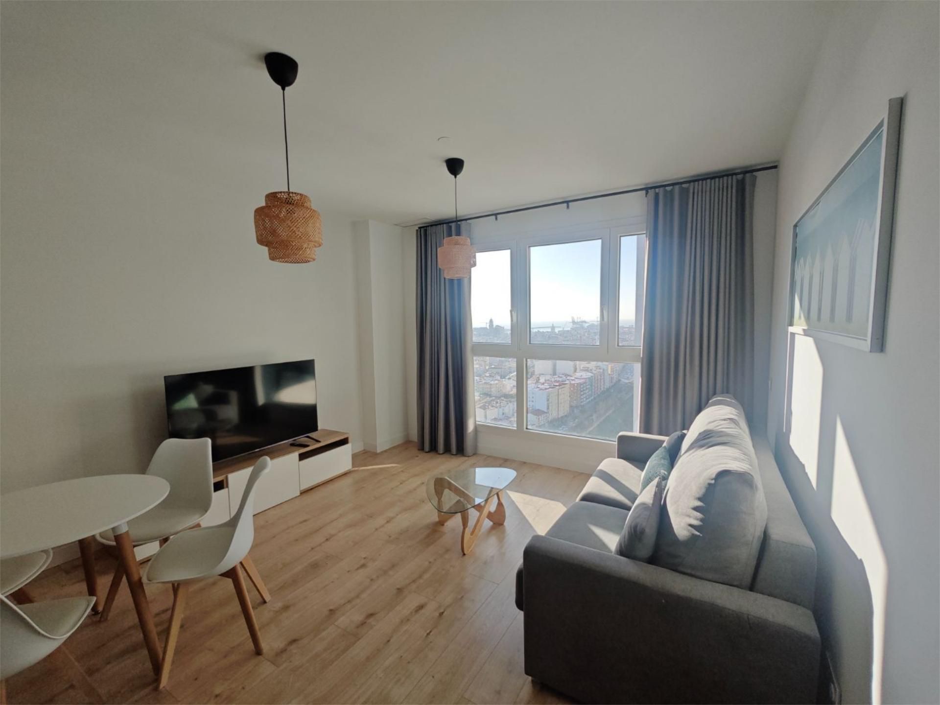 Sala d'estar de Pis de lloguer en Málaga Capital amb Aire condicionat, Calefacció i Piscina