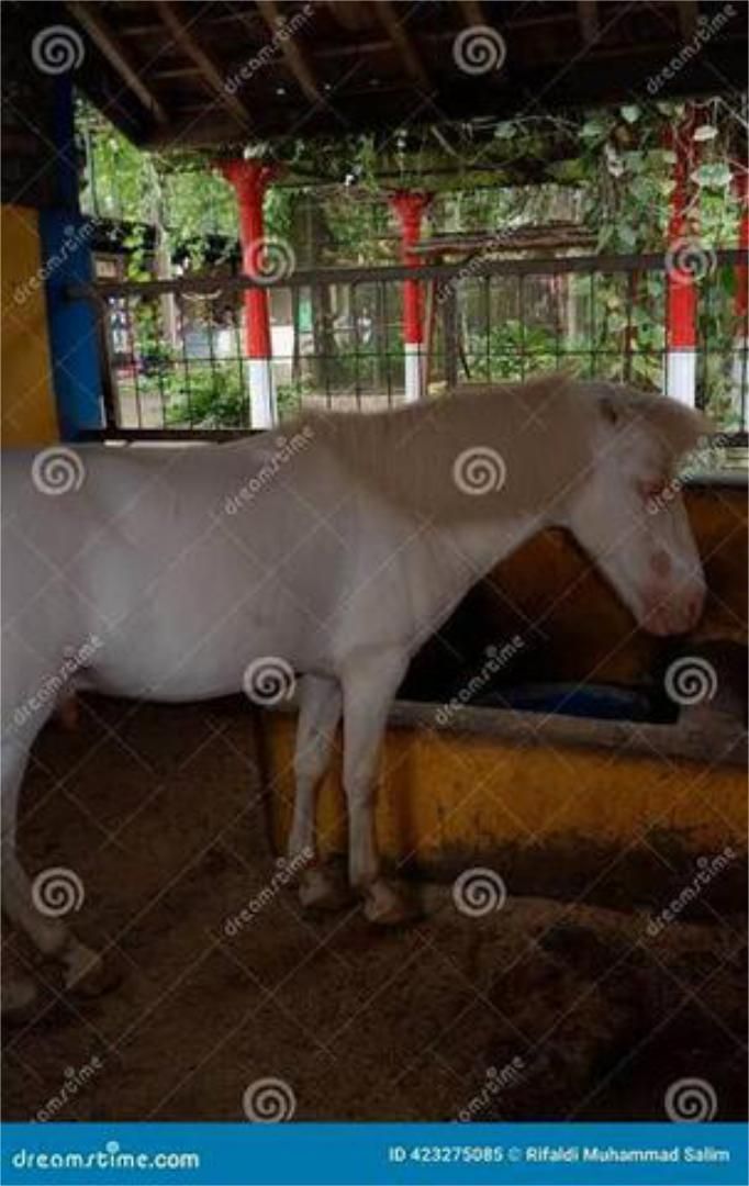 Exterior view of Industrial buildings to rent in Jérica
