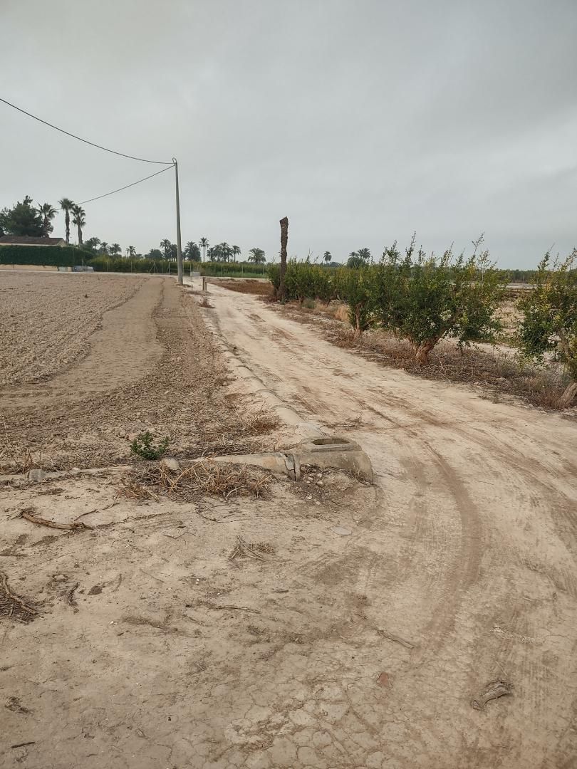 Land for sale in Elche / Elx