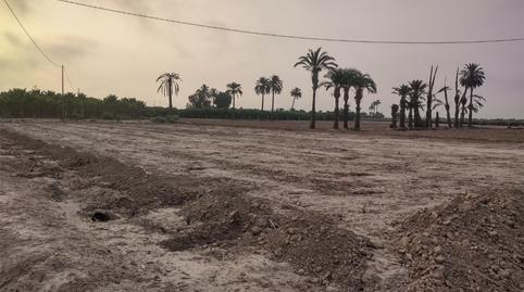 Photo 2 of Land for sale in Cv-851, 7, Algorós - El Derramador, Elche / Elx